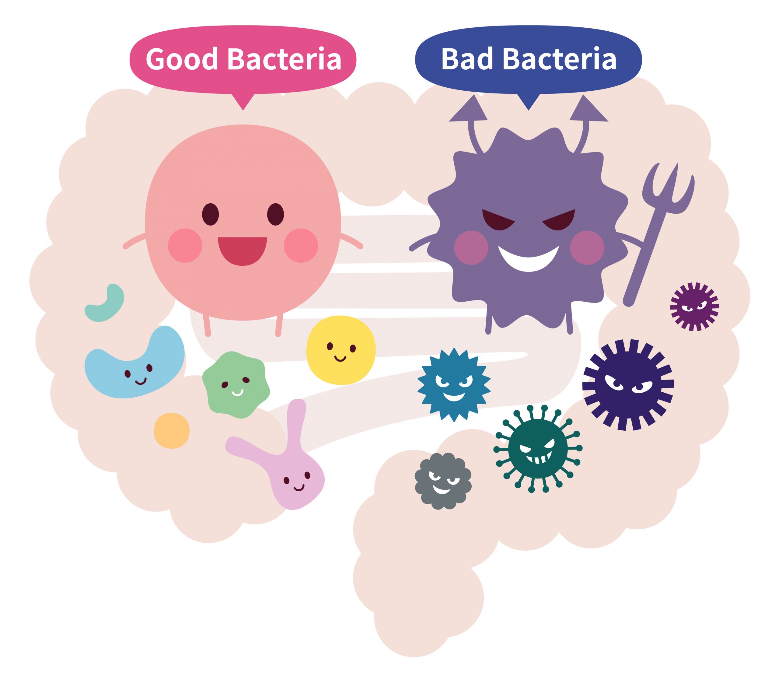 腸内細菌の種類や数、バランスは人それぞれ異なる